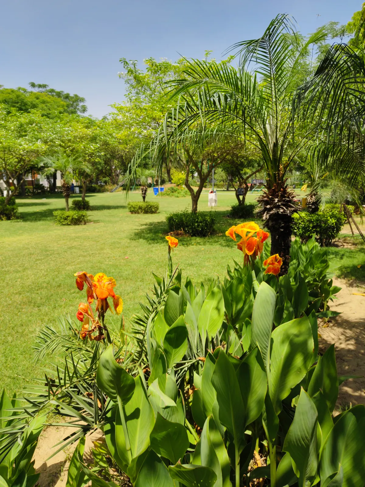 Lush Green Park at Virat Greens - Beautiful landscaped gardens